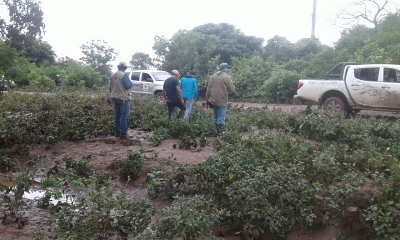 Comité de gestión de riesgos realizando trabajos y evaluación