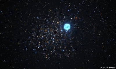 El agujero negro recién descubierto fue detectado en NGC 1850. (foto: DW)