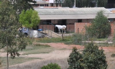 Predios del ex Hipódromo, donde se prevé construir la Ciudadela de la Salud