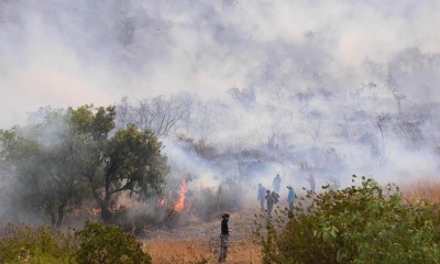 Tres horas y media después de iniciado el incendio, cerca de las 16:00, el fuego ya había abrasado unas 20 hectáreas/Foto. Daniel James