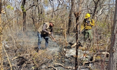Un pasado control de uno de los incendios. Foto: ABT.