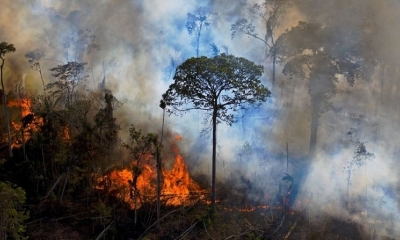 Durante el gobierno de Jair Bolsonaro (2019-2022), la deforestación de la Amazonía brasileña avanzó 75 %