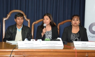 Sussy Fuentes, vicepresidenta del Tribunal Departamental Electoral (TED). Foto: Internet