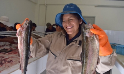 Se incrementará la producción de carne de pescado/Foto. ABI