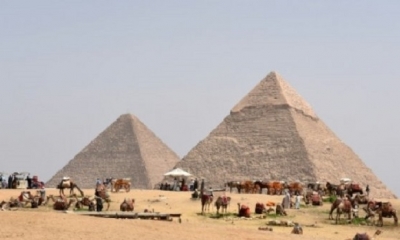 Camellos caminan delante de las pirámides de Guiza, en las afueras de El Cairo, el 29 de marzo de 2017