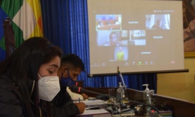 Sesión del Senado, esta mañana. | Agencias