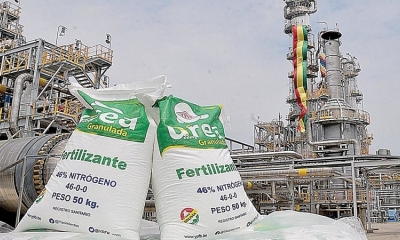La Planta de Urea y Amoniaco de Bulo Bulo.