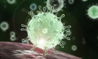 Para explicar más la respuesta inmunitaria, los investigadores midieron algunas sustancias (citoquinas y quimioquinas) en la sangre