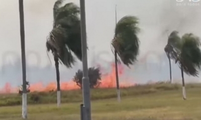 Incendio de pastizales en cercanías del aeropuerto de Viru Viru. RRSS
