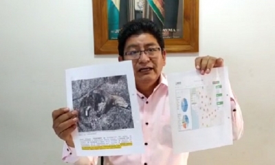 Edgar Montaño muestra reportajes sobre animalitos muertos por el incendio. Foto/captura de video