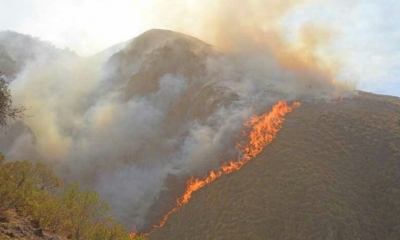 Las instituciones se comprometieron en apoyar a las comunidades afectadas por el incendio forestal en la Reserva de Sama