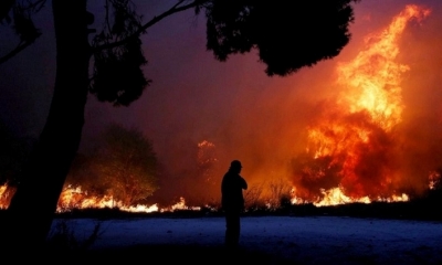 El mayor incendio de la década en Grecia. Foto: Internet