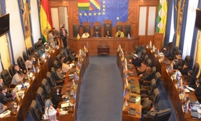 Pleno del Senado Nacional. Foto/Senado