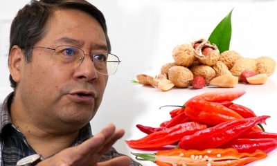 Luis Arce Catacora
