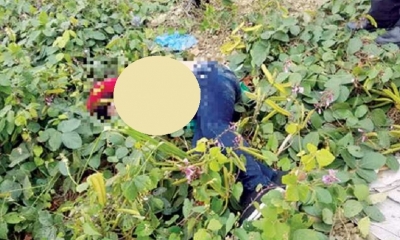 El cuerpo fue encontrado en uno matorrales/Foto. RRSS