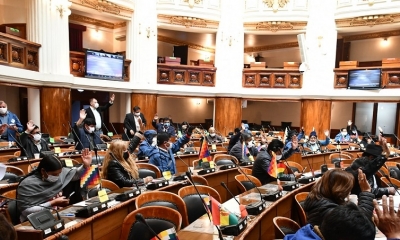La Asamblea Legislativa Plurinacional (ALP) 