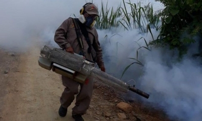 Especialistas están en el municipio de los Yungas para eliminar los criaderos de mosquitos 