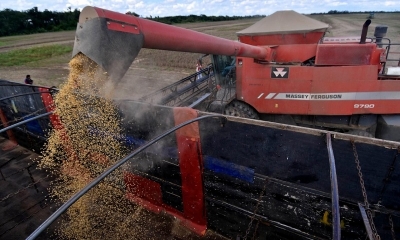 La producción de soya en el oriente.