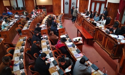 Asamblea Legislativa Plurinacional en pleno/Foto. RRSS