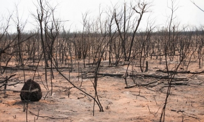 Las investigaciones continúan/Foto. RRSS