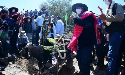 Arranca reforestación del Tunari con participación del presidente Arce