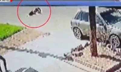 La ´victima tiene 32 semanas de embarazo/Foto. Captura de pantalla 