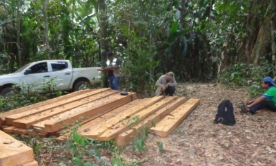 La madera decomisada se encuentra depositada bajo custodia