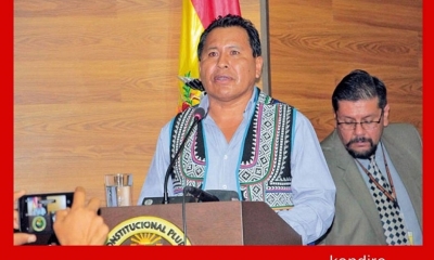 El magistrado del Tribunal Constitucional Plurinacional (TCP), Petronilo Flores