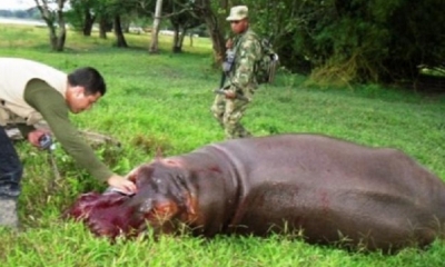 IMAGEN REFERENCIAL/ Foto. RRSS