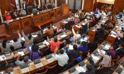 Cámara de Diputados/Foto. RRSS