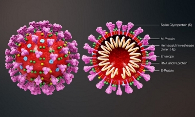 Coronavirus: Nuevo estudio afirma que el virus se queda en el aire en estado de aerosol hasta por 3 horas | Fuente: Getty Images