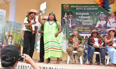 Imagen Referencial. Foto: ABI