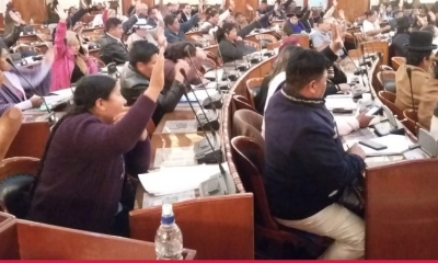 Así votaron los diputados/Foto. RRSS