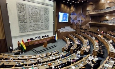  Asamblea Legislativa Plurinacional (ALP)