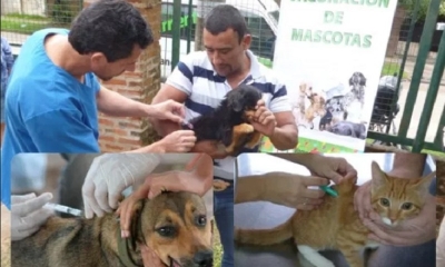 Campaña de vacunación y carnetización
