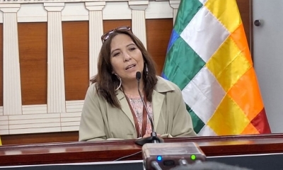 La viceminstra Ríos confirmó que se realiza la investigación.