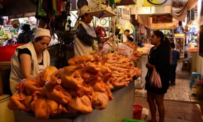 Cocarico aseguró que el suministro de alimentos para el sector avícola, como la soya, está garantizado sin una elevación de costos.