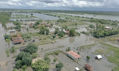 Imagen referencial