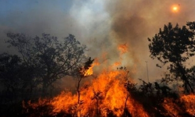 Incendios forestales en la Amazonía en 2020