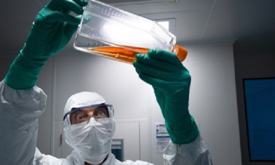 Las pruebas, que tienen un coste estimado de 85 millones de reales (unos 15,7 millones de dólares), se realizarán en 12 centros de investigación 