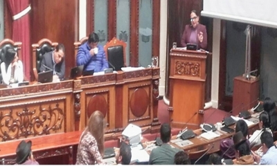 Senadora Gonzales interviene en la interpelación.