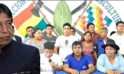 Imagen Referencial