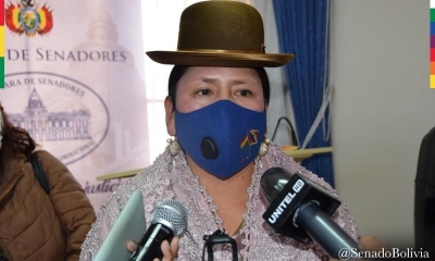 Senadora Virginia Velasco (MAS)