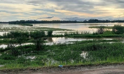 Campo de producción agrícola inundado tras el desborde del río Piraí, en Santa Cruz