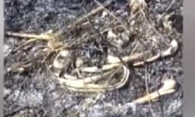 Las investigaciones continúan/Foto. RRSS