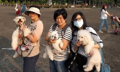 Taiwán, separada de China por sólo 180 kilómetros de mar, logró tener en todo este tiempo 440 casos de COVID-19. | Fuente: EFE