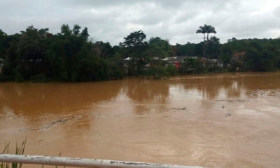 Los conscriptos botaron los restos del los gatos al río/Foto. RRSS