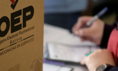 participación en elecciones 