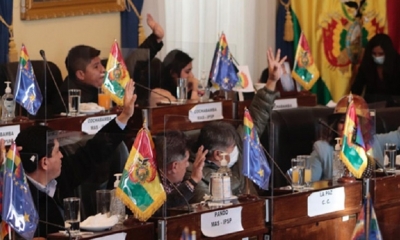 El pleno de Senado.