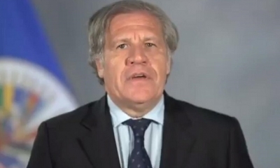 Luis Almagro, Secretario General de la OEA. Foto: Internet